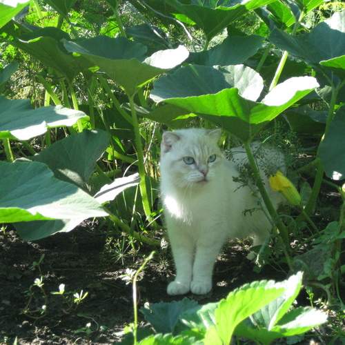 Photo #12374438