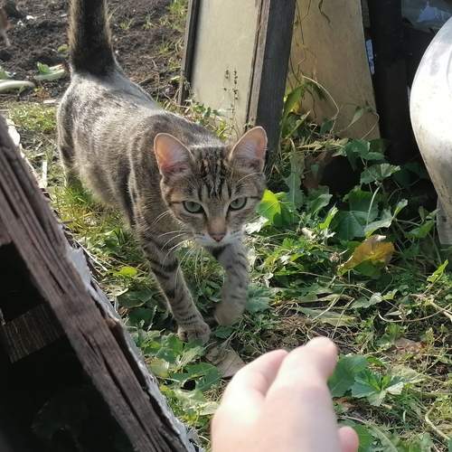 Photo #12374443