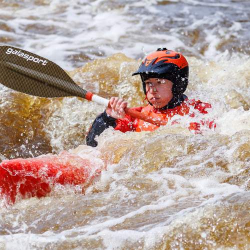Photo #12374470