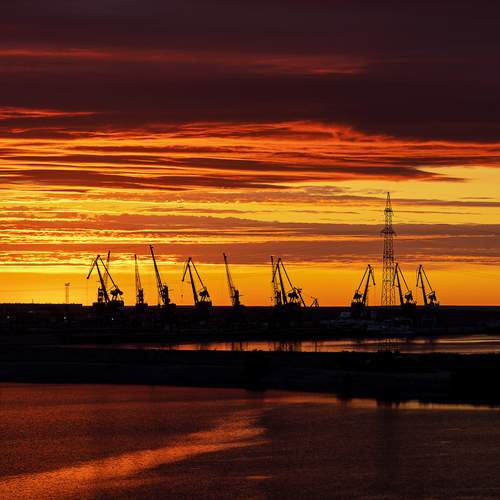 Photo #12374846
