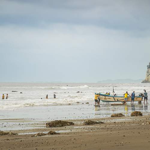 Photo #12375283