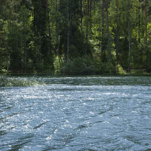Photo #12375548