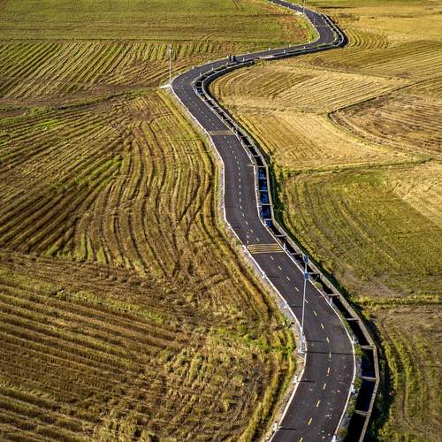 CON ĐƯỜNG NÔNG THÔN