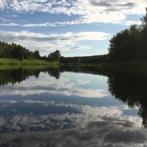 Photo #12375631