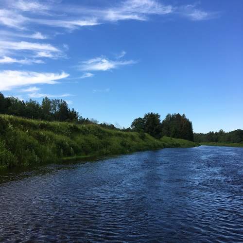 Photo #12375638