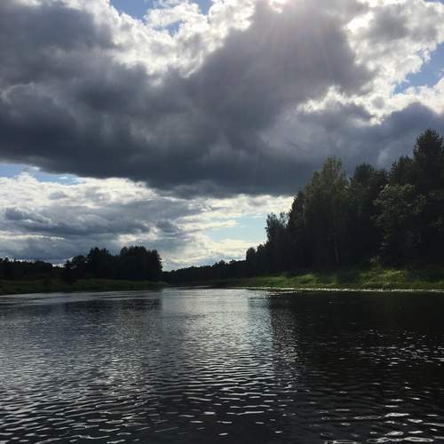 Photo #12375639