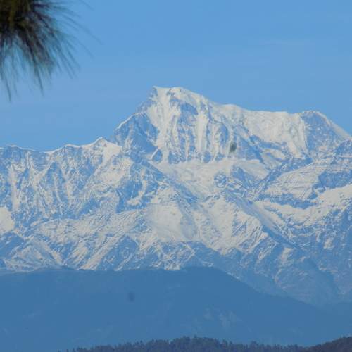 Photo #12375889