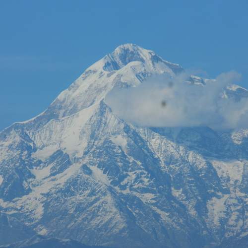Photo #12375893