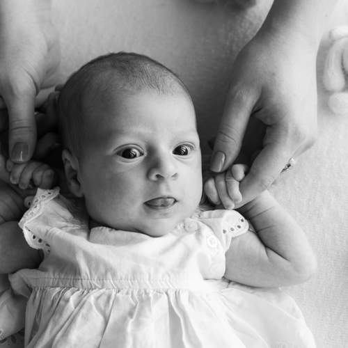 Photo #12375928