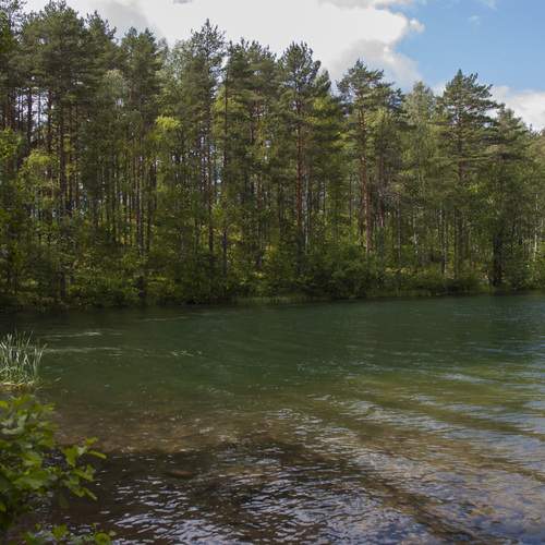 Photo #12375973