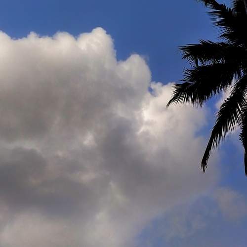 Photo #12376104