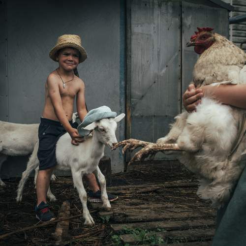 Фотография #12376261