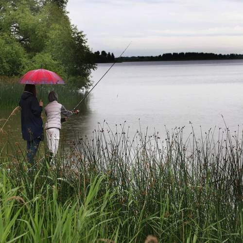 Photo #12376594