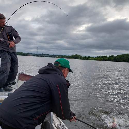Photo #12376596
