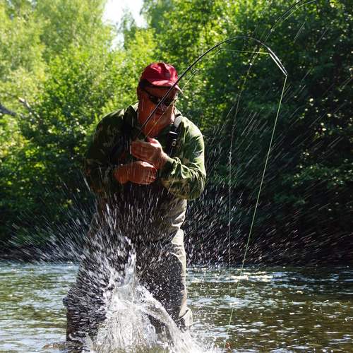 Photo #12376928
