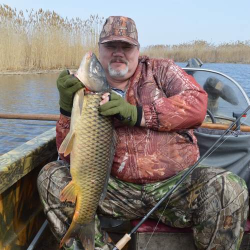 Photo #12376929