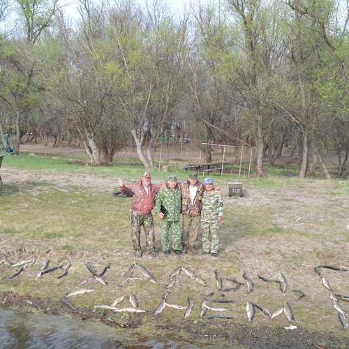 Photo #12376934