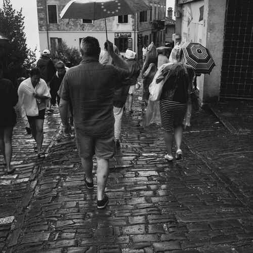Photo #12376984