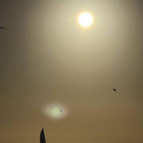 Photo #12377054