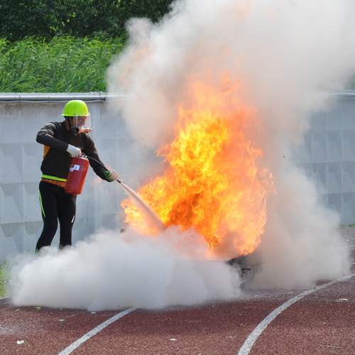 Photo #12377159