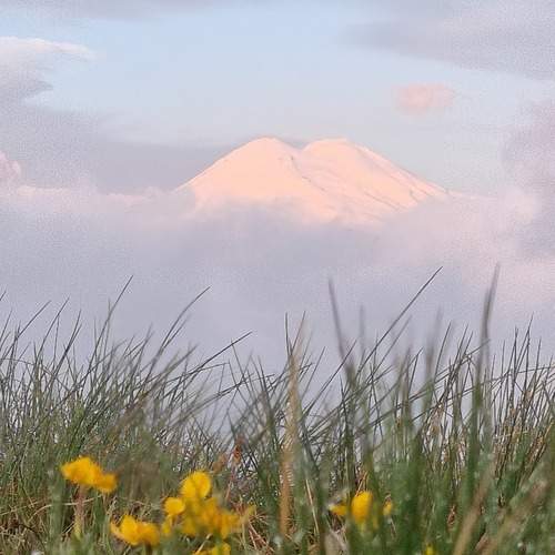 Photo #12377326
