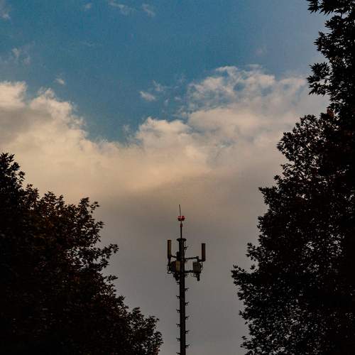 Photo #12377472