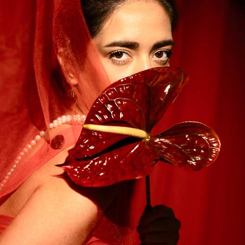Veiled in Red