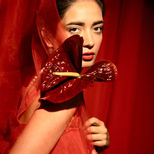 Veiled in Red