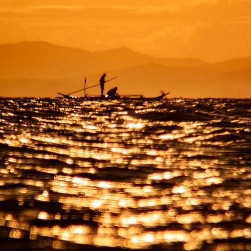 Photo #12377718