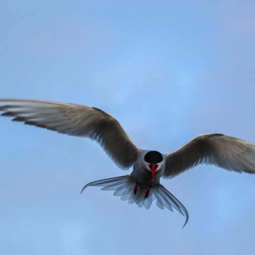 Photo #12377723