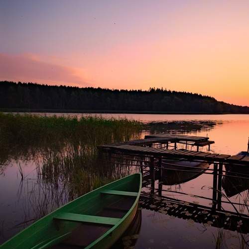 Photo #12377820