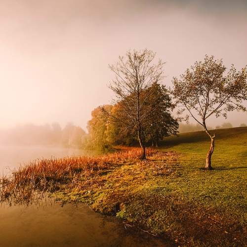 Photo #12377832