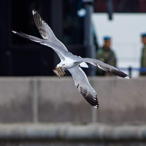 Photo #12377851