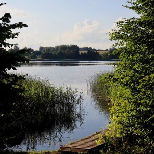 Photo #12377936