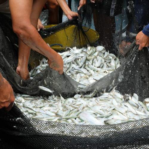 Photo #12378410