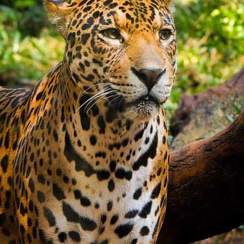 Photo #12378472