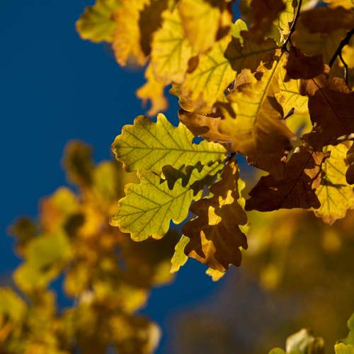 Photo #12378636