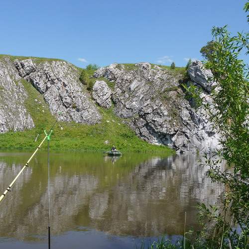 Photo #12378968