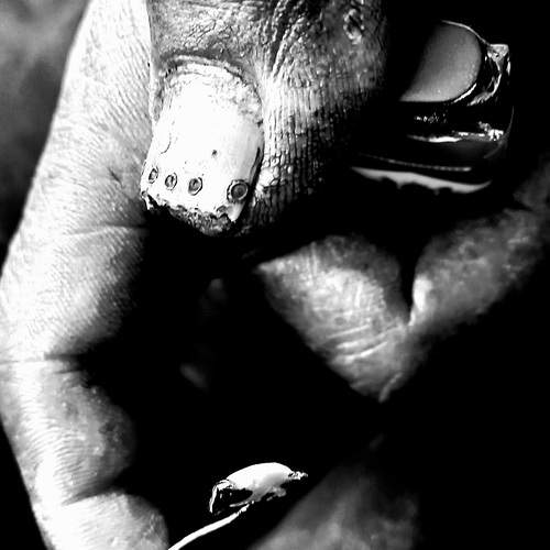 Photo #12379227