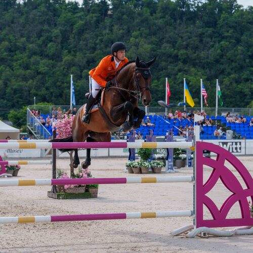 Photo #12379269
