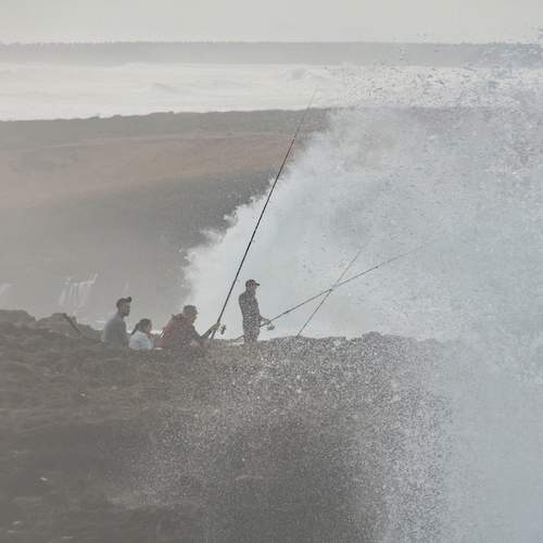 Photo #12379313