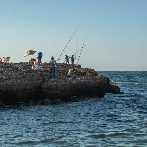 Photo #12379326