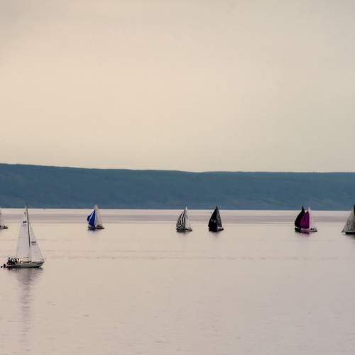 Photo #12379370