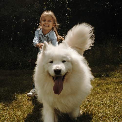 Photo #12380607