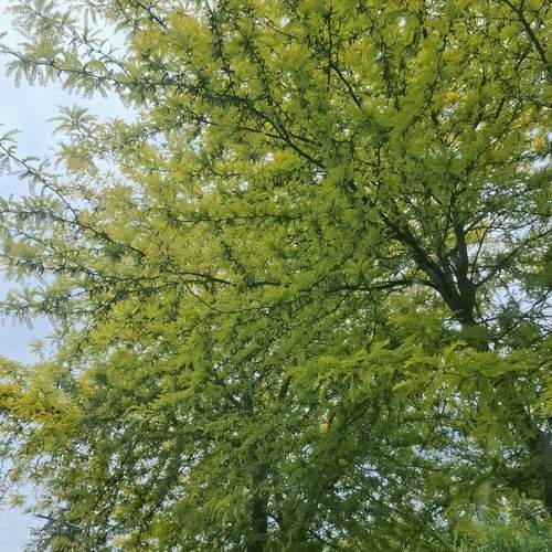 Photo #12380936