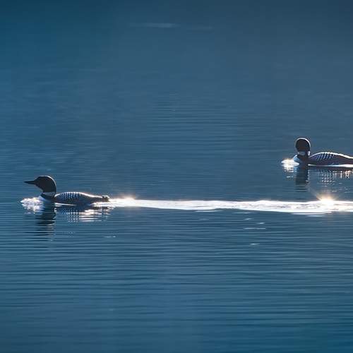 Photo #12380949
