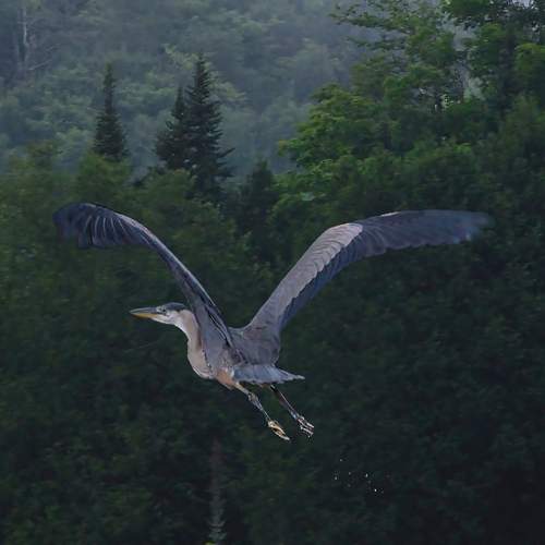 Photo #12380977