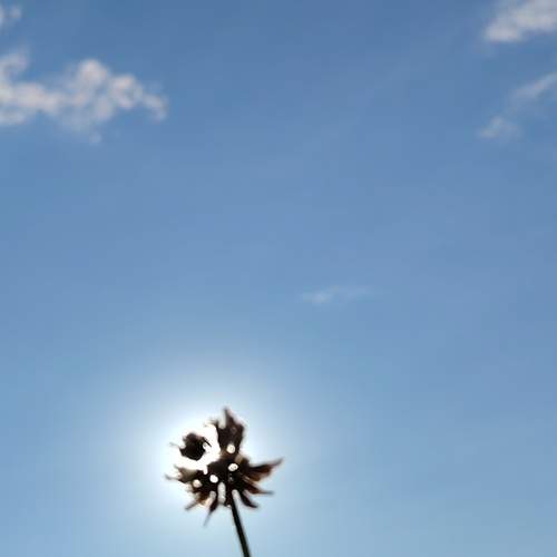 Photo #12381037
