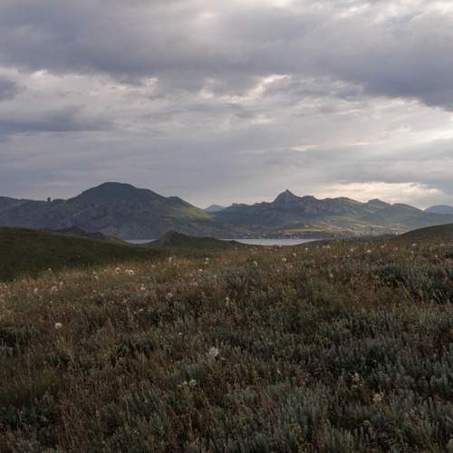Photo #12381078