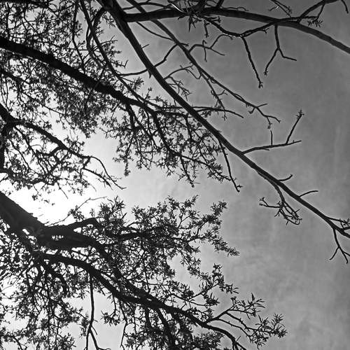 Photo #12381133